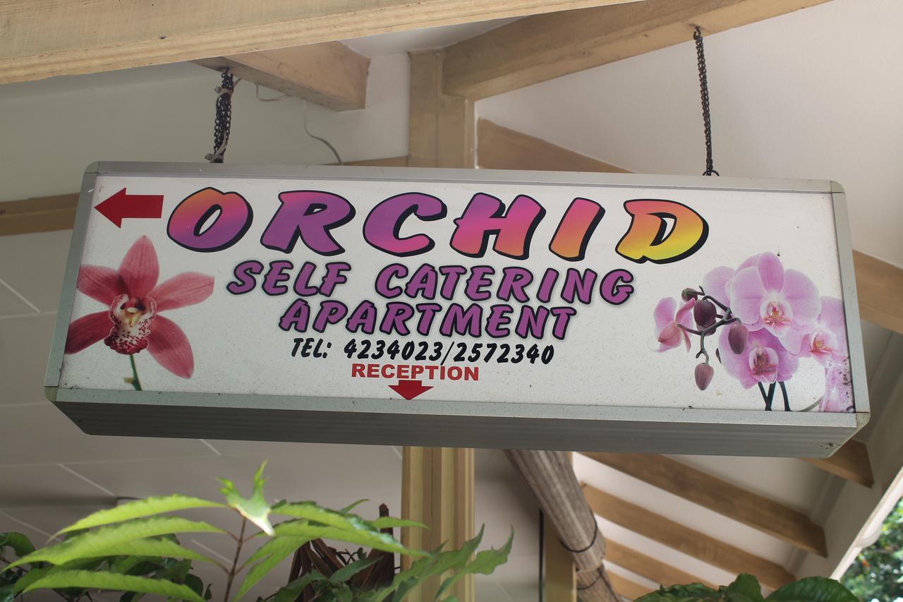 לה דיג Orchid Self Catering Apartment מראה חיצוני תמונה